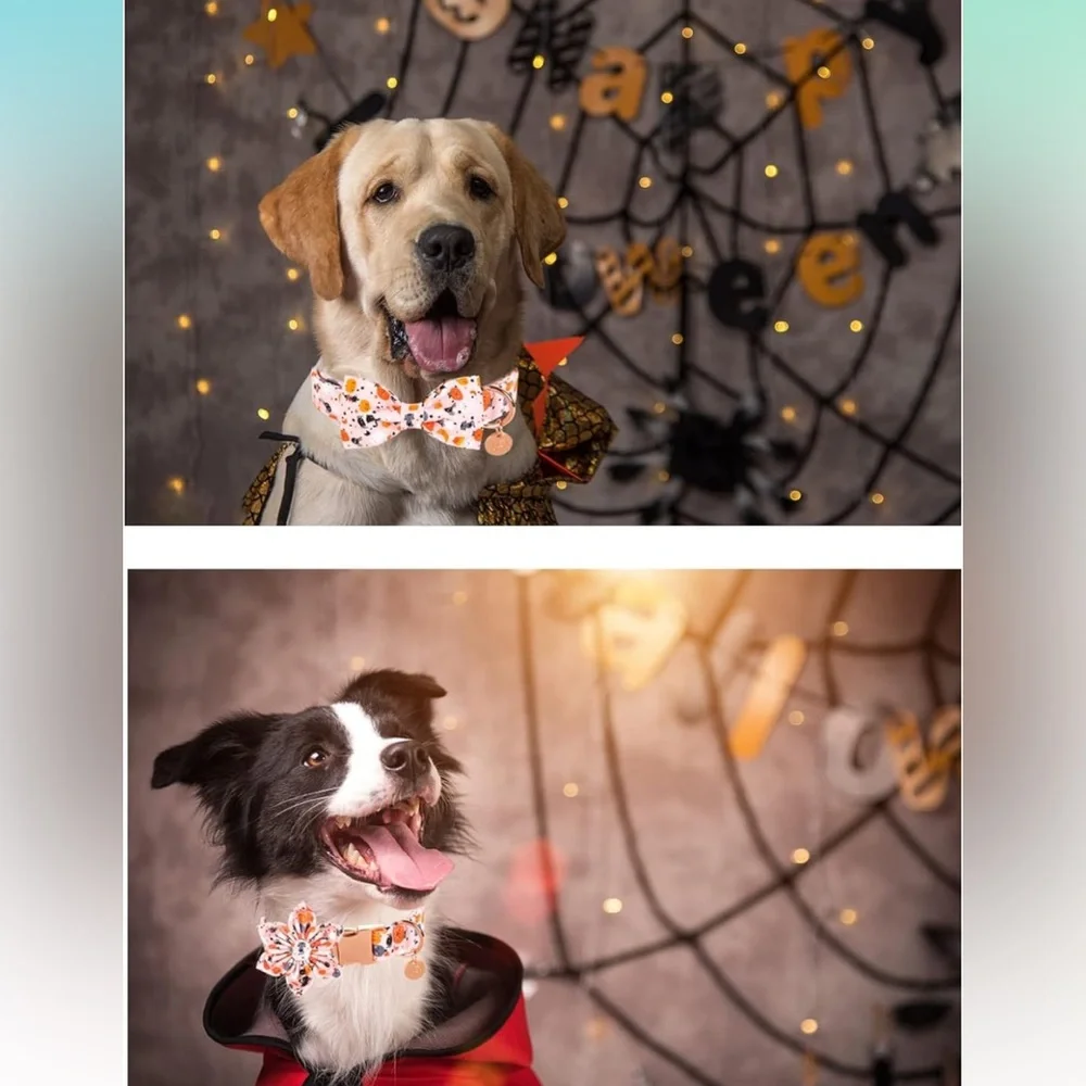 New Halloween Dog Collar with Flower, Pumpkin Cotton Flower Collar  M Girl Dog, - Picture 4 of 10